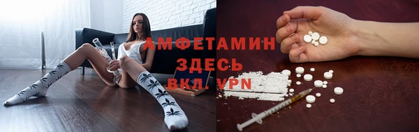 хмурый Алексин