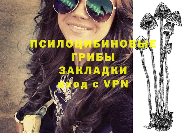 круглые Алексеевка