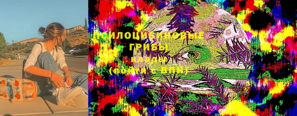 круглые Алексеевка